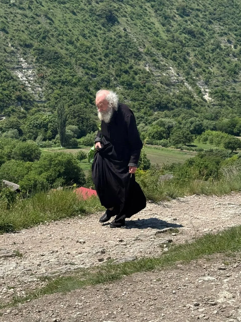 An elderly Orthodox monk with white beard walking on a mountain path with green forest and valley in the background