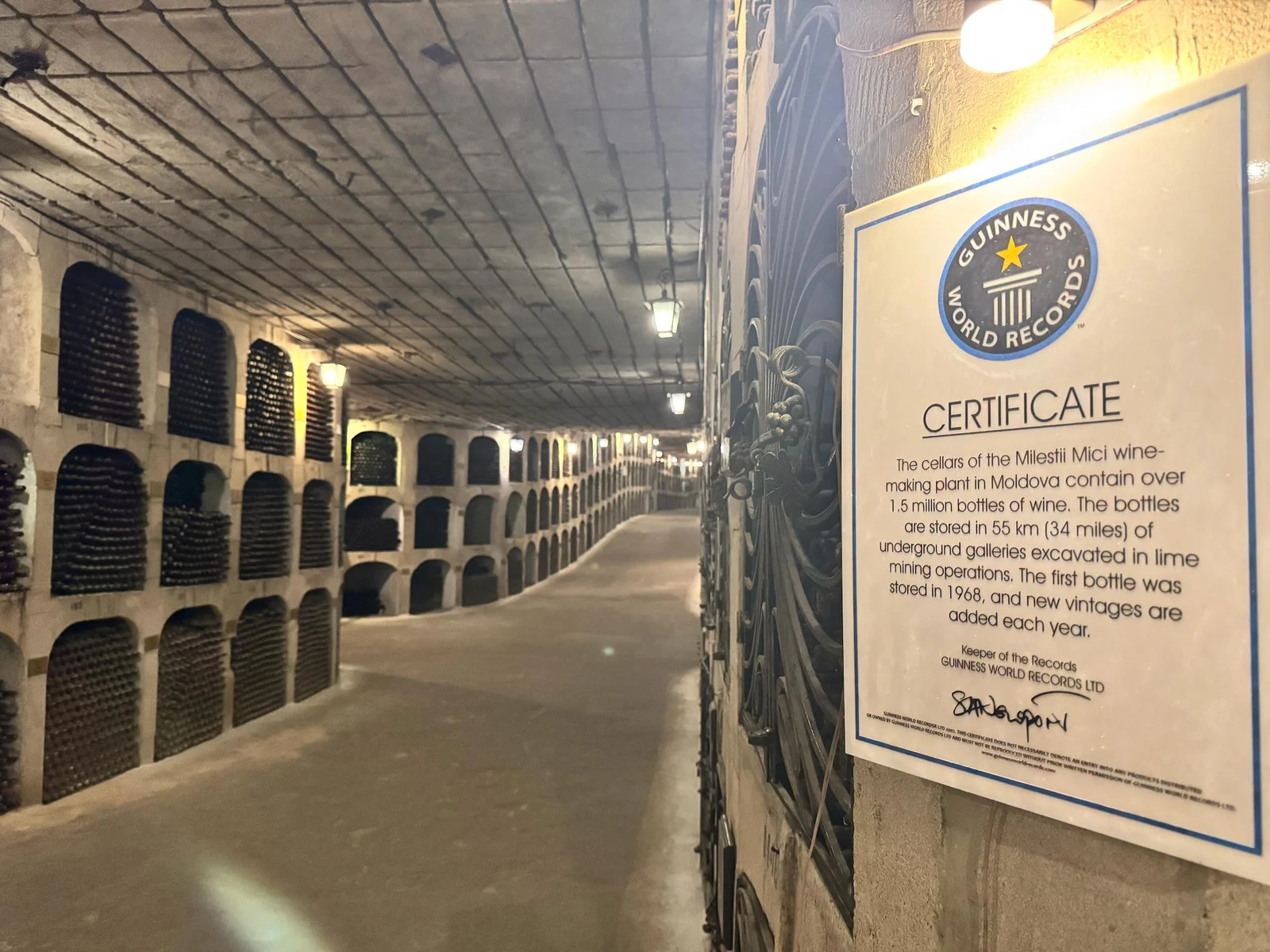 Underground wine cellar with Guinness World Records certificate displaying bottles stored in limestone galleries